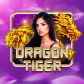 Dragon Tiger slot8 live casino icon